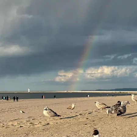 Baltic Park Plaza Lux - Visitopl Świnoujście